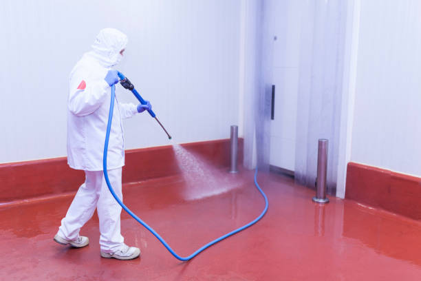 Best Building Exterior Washing  in North Madison, OH