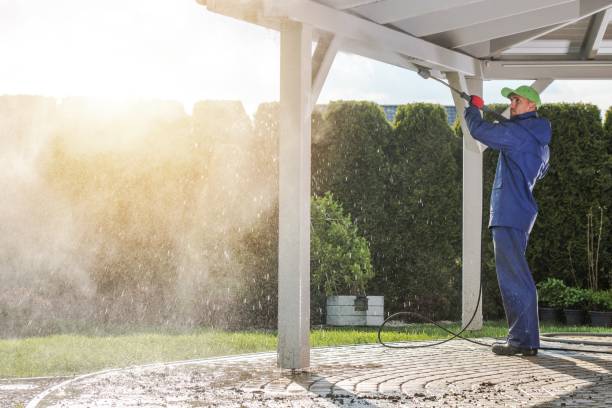 Best Sidewalk and Walkway Cleaning  in North Madison, OH