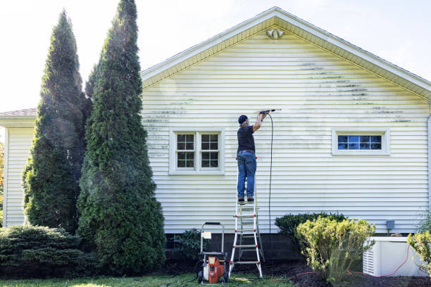 Best Rust Removal  in North Madison, OH